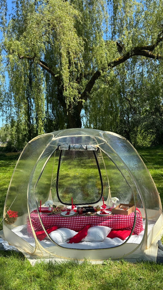 Bulle prestige - photo 3